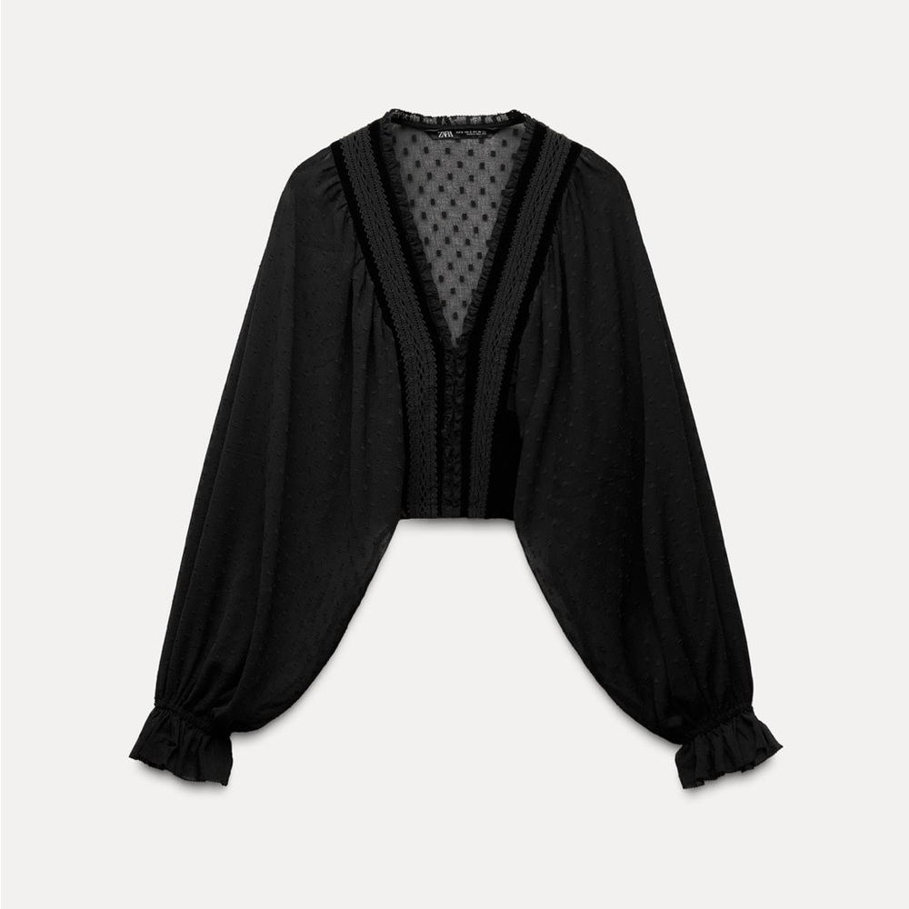 Zara Meshed Cropped Blouse (NWT)